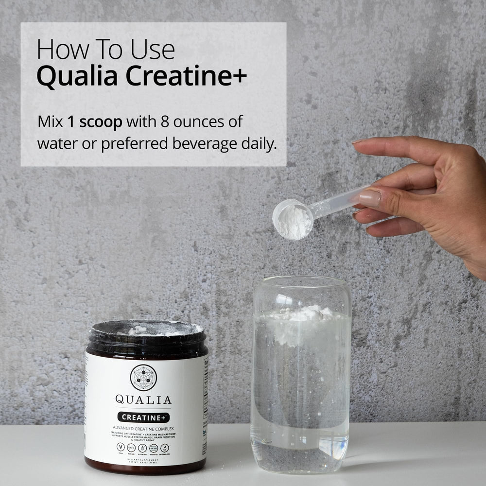 Qualia Creatine absorption-diagram highlights cellular uptake benefits