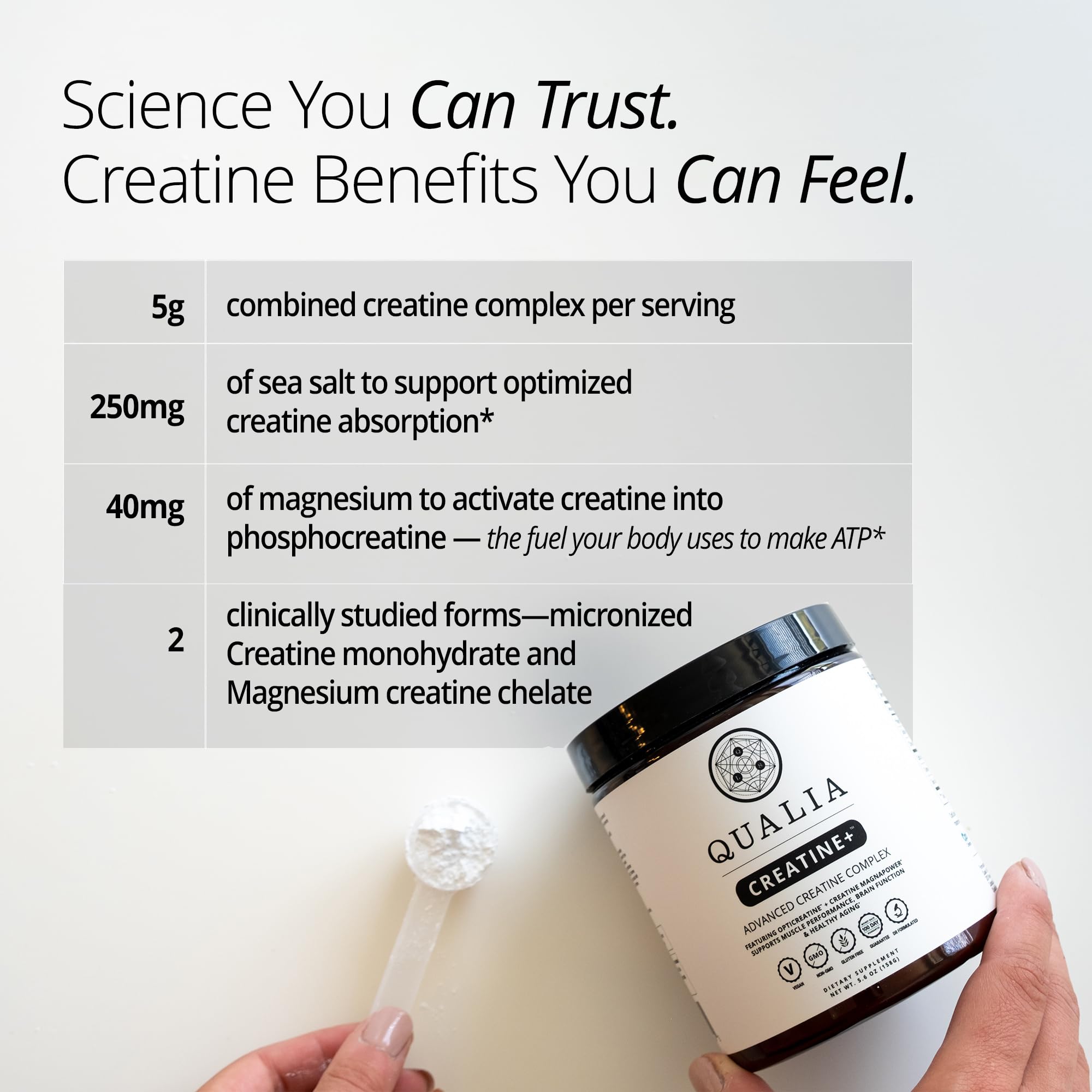 Qualia Creatine brain-energy scene suggests cognitive focus under stress