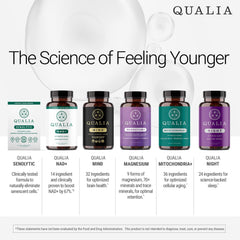 Real Lions Mane extract with Qualia Mind supports cognitive wellness