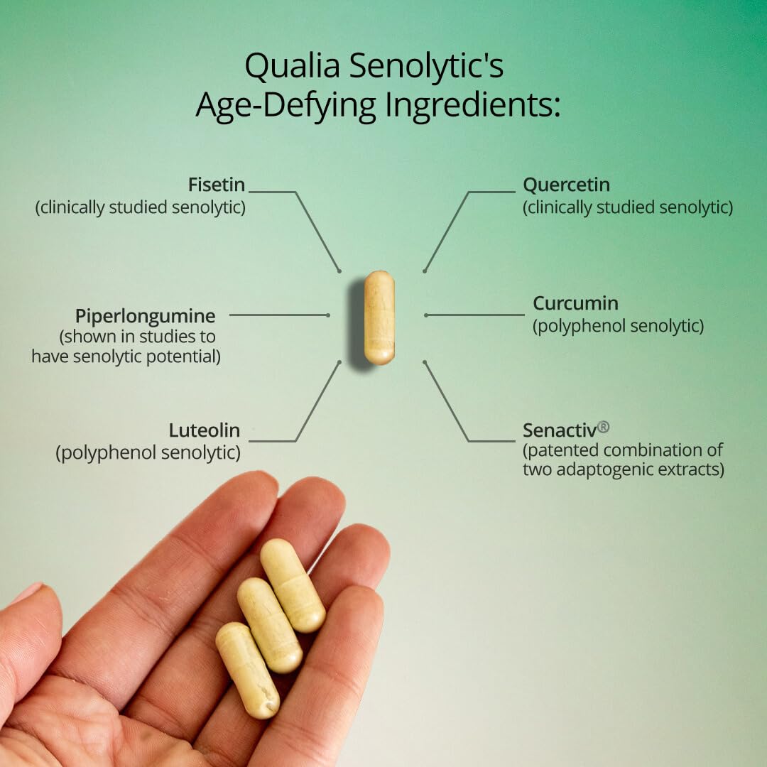 Qualia Senolytic quercetin component close-up for cellular maintenance