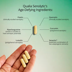 Qualia Senolytic quercetin component close-up for cellular maintenance
