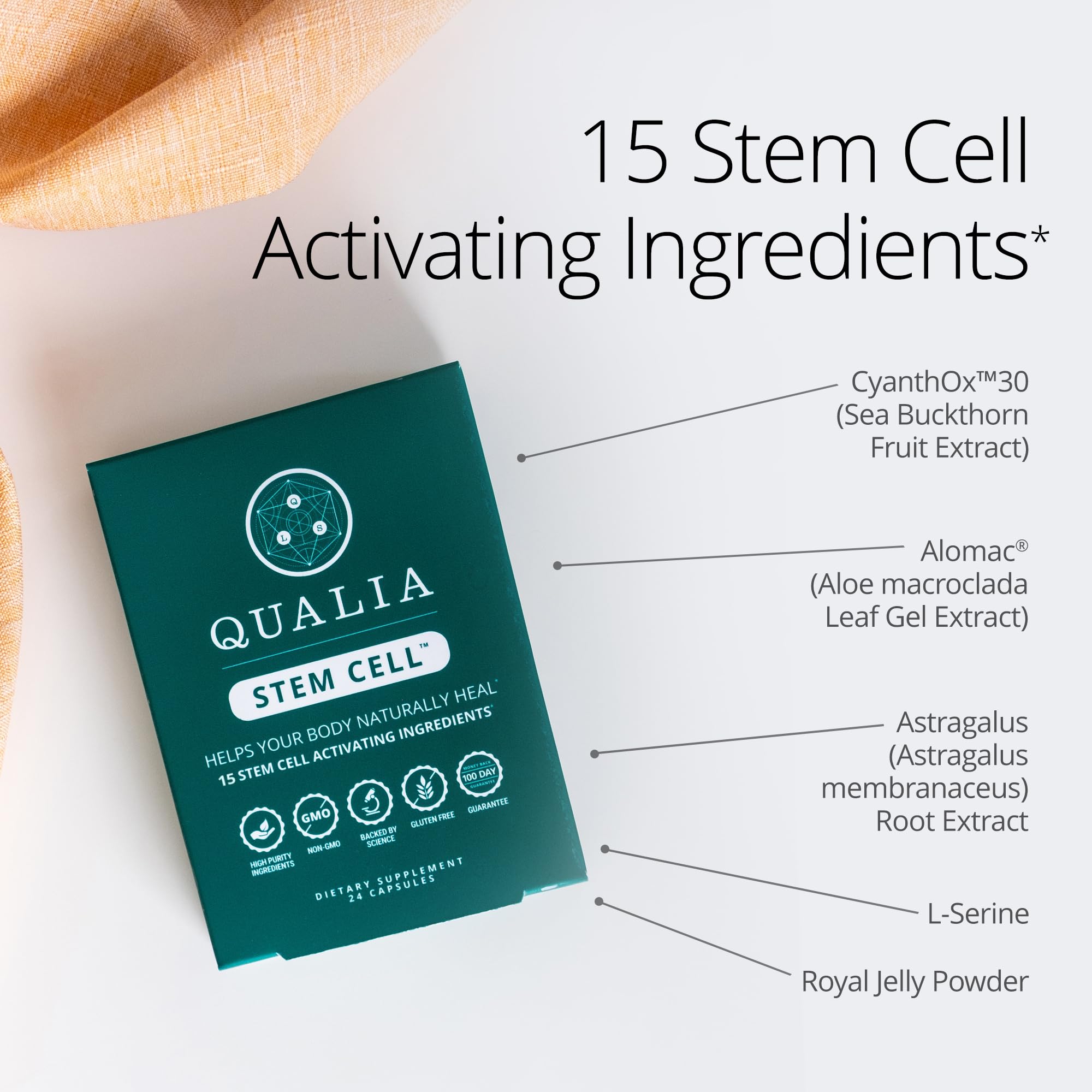 Qualia Stem Cell: astrágalo y espino amarillo presentes en la mezcla.
