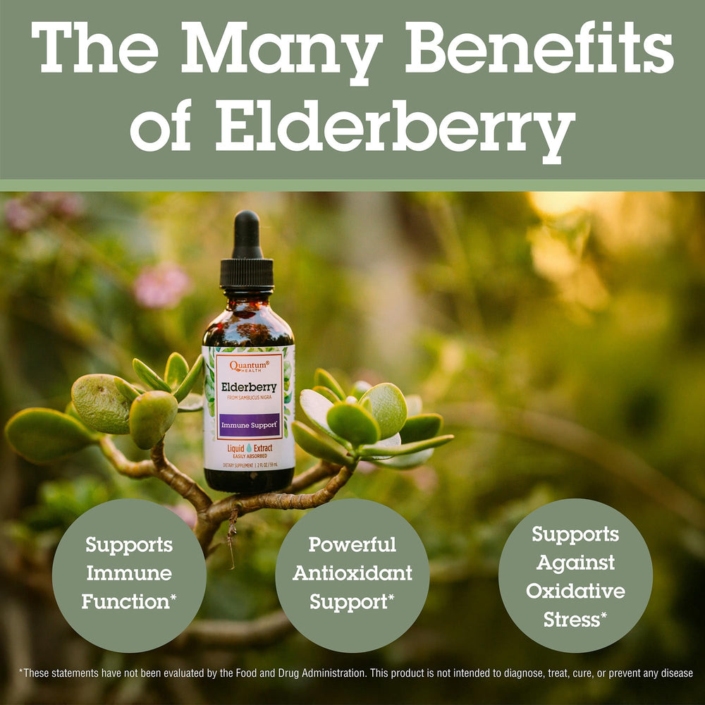 Quantum Health elderberry bottle on wood presents premium immune-support wellness.