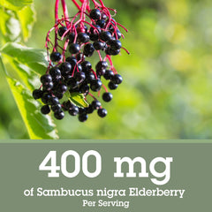 Quantum Health elderberry label closeup highlights 700 mg Sambucus nigra extract.