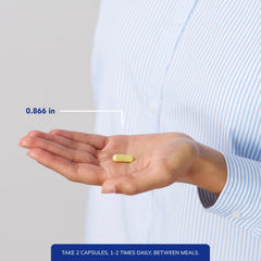 Quercetin 500 mg capsules with daily immune support use scene.