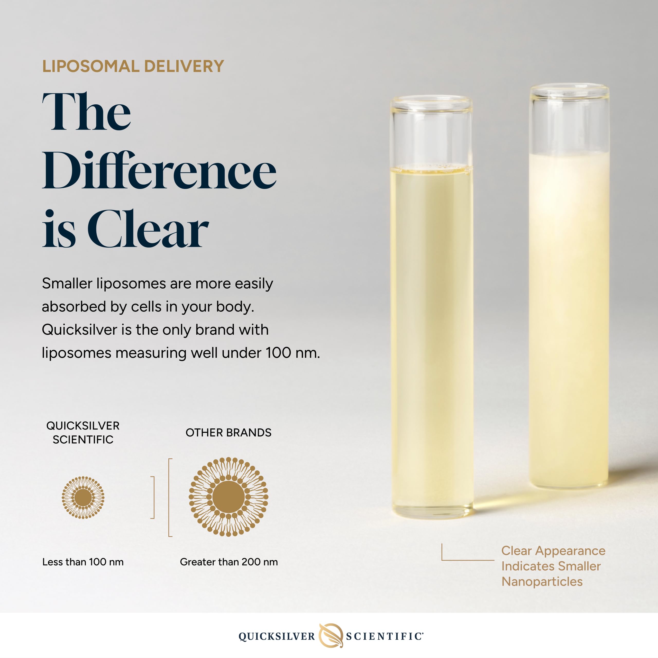 Quicksilver Scientific liposomal GABA + L-Theanine dosage graphic indicates 100 mg L-Theanine.
