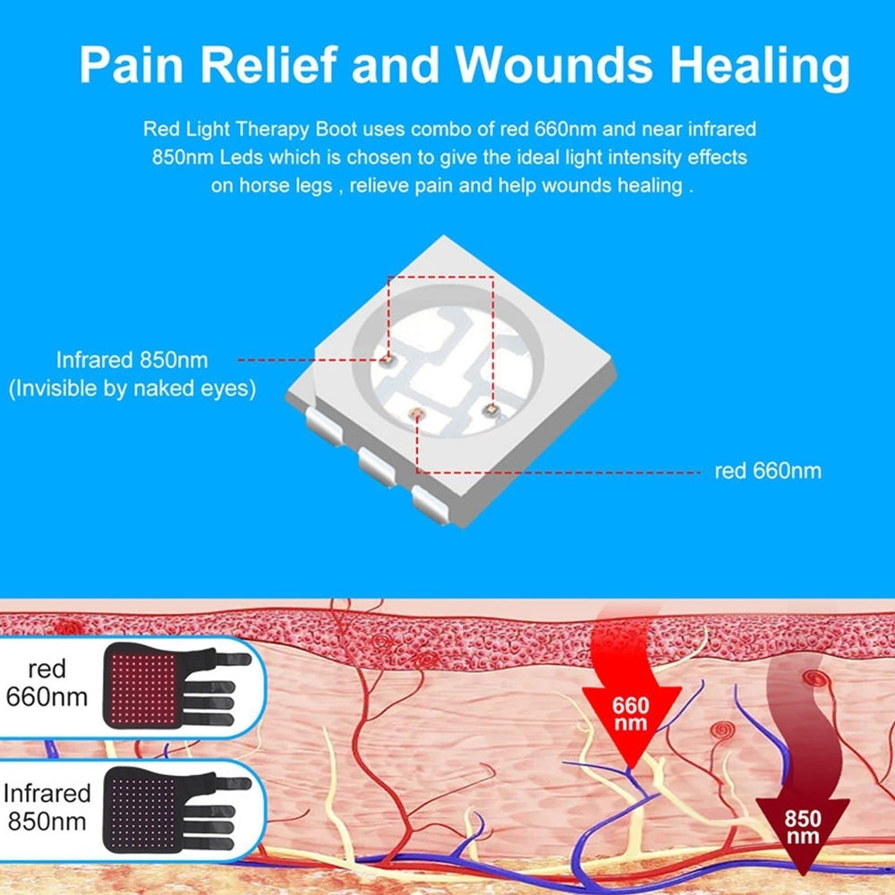 QVIKPMU on-the-move therapy session, convenient at the stable or trail.