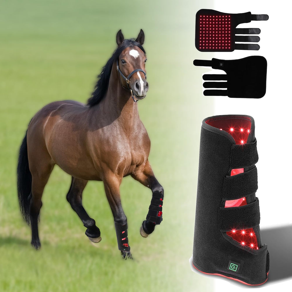 QVIKPMU red light therapy horse belt on leg, supports mobility.