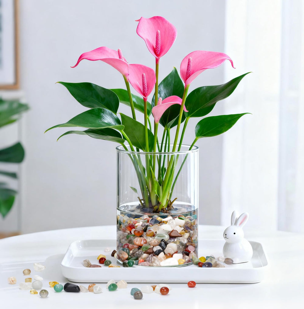 Rahato crafts decor and jewelry items spark creative home projects.