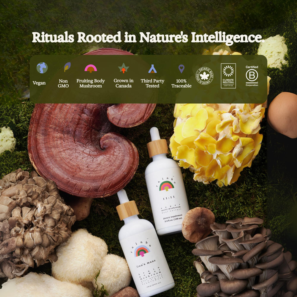 Rainbo Lion's Mane tincture bottle emphasizing Canadian-sourced and sustainable ingredients.