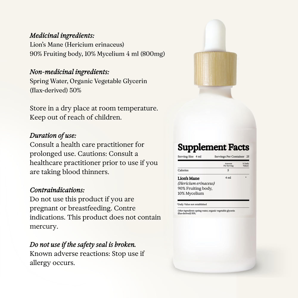 Rainbo Lion's Mane tincture gift-ready packaging for thoughtful wellness gifts.