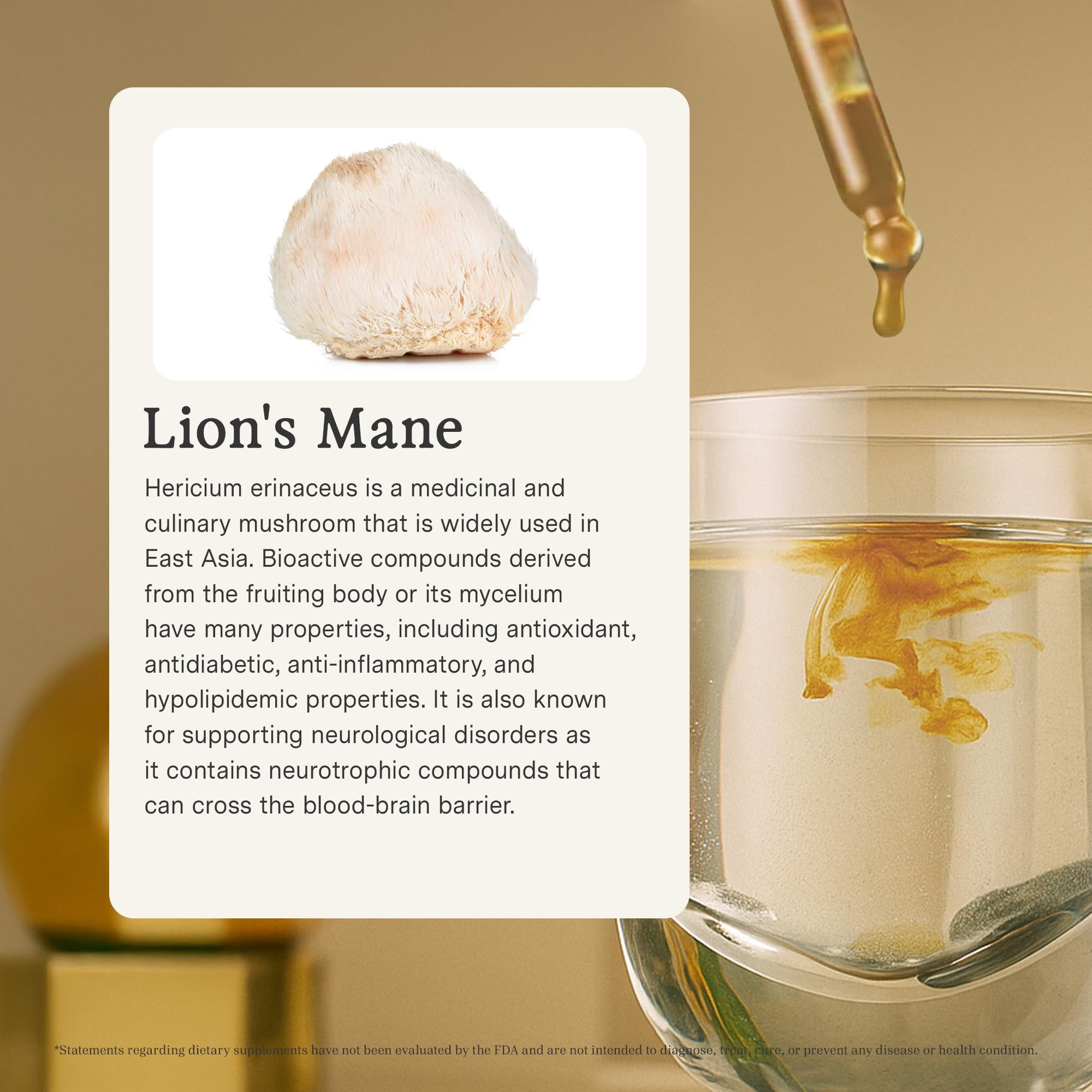 Close-up of Rainbo Lion's Mane tincture label highlighting Canadian sourcing.