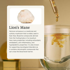 Close-up of Rainbo Lion's Mane tincture label highlighting Canadian sourcing.
