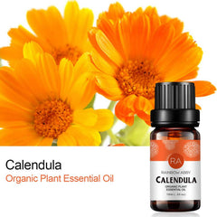Rainbow Abby Calendula essential oil two-pack displayed as gift