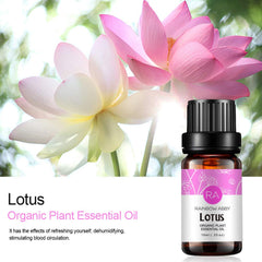 Rainbow Abby Lotus Essential Oil gift-pack presentation makes a thoughtful, elegant present.
