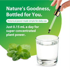 Rainbow Light Organic Oil of Oregano ingredients label highlights organic vegan ingredients.