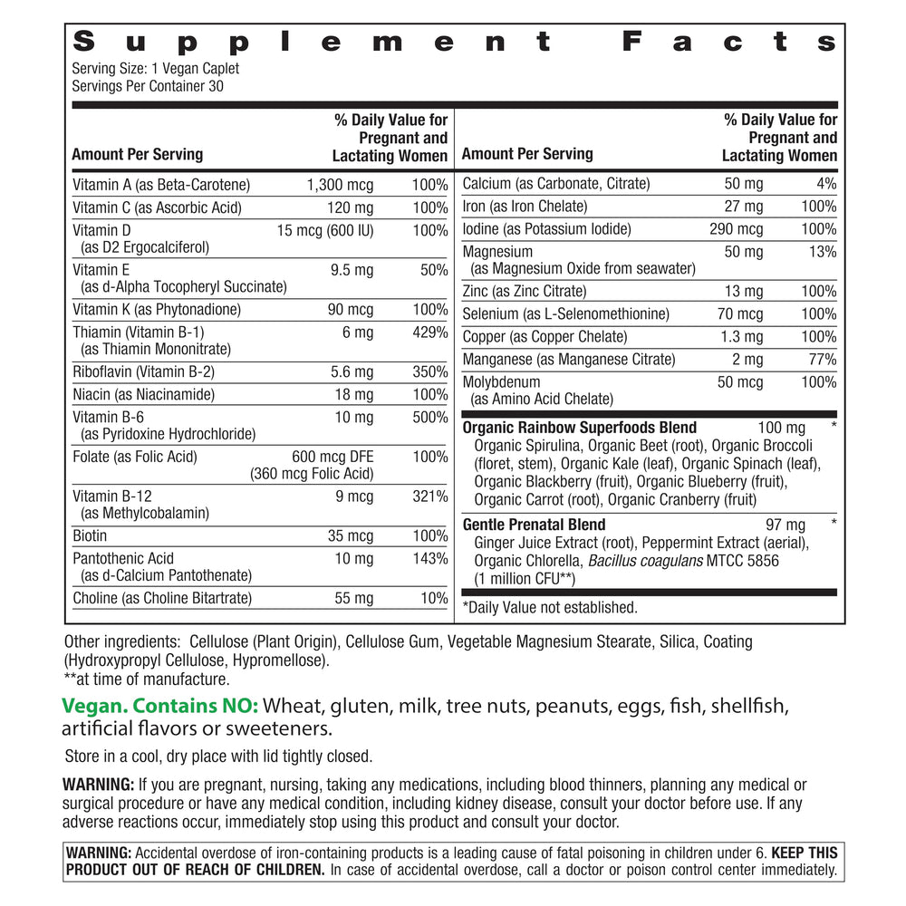 Rainbow Light Prenatal One+ bottle label closeup highlights real food nutrients and iron.