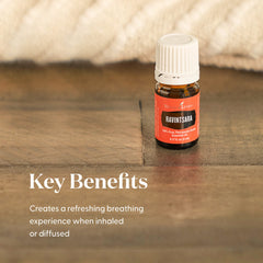 Ravintsara essential oil bottle with steam for aromatherapy use