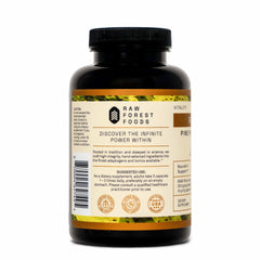 RAW Forest Foods 50-1 Chun Fen pine pollen extract close-up supports nourishment