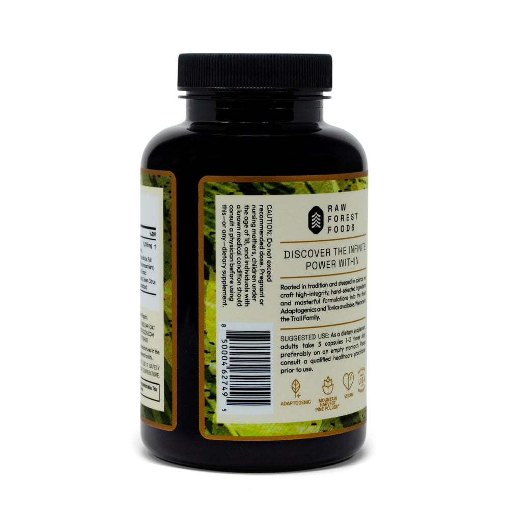 RAW Forest Foods Dao Di-inspired sourcing emphasizes ethical wildcrafting