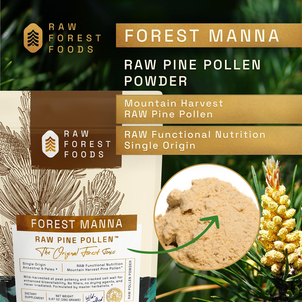 Scoop of pine pollen powder for easy serving by RAW Forest Foods.