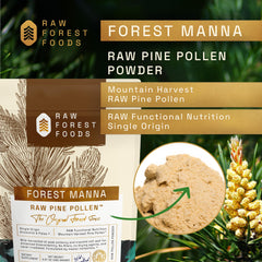 Scoop of pine pollen powder for easy serving by RAW Forest Foods.