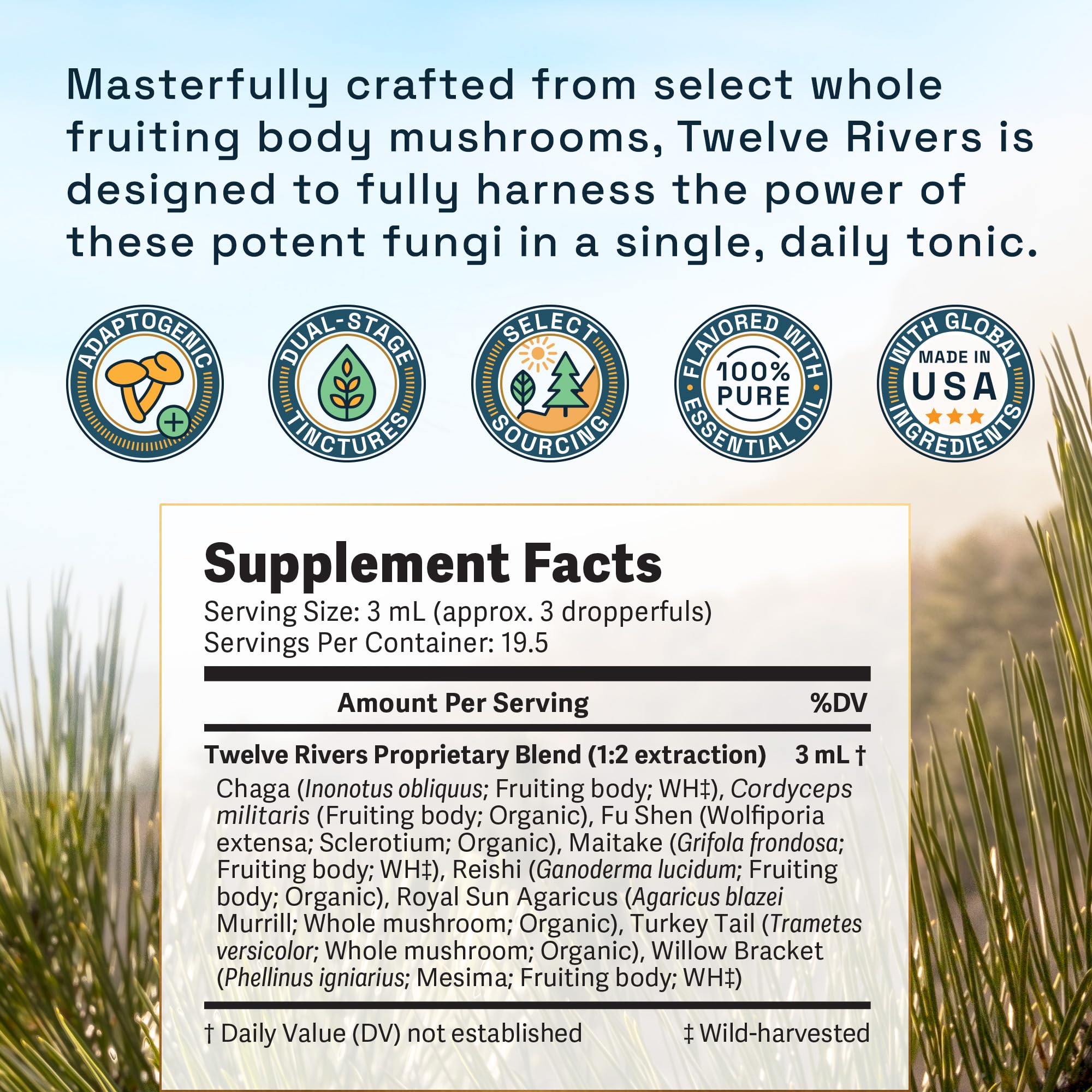 Bottle shows organic and cGMP NSF quality marks