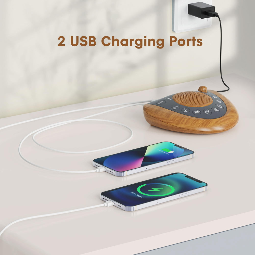 Raynic design featuring dual USB ports for charging devices overnight.