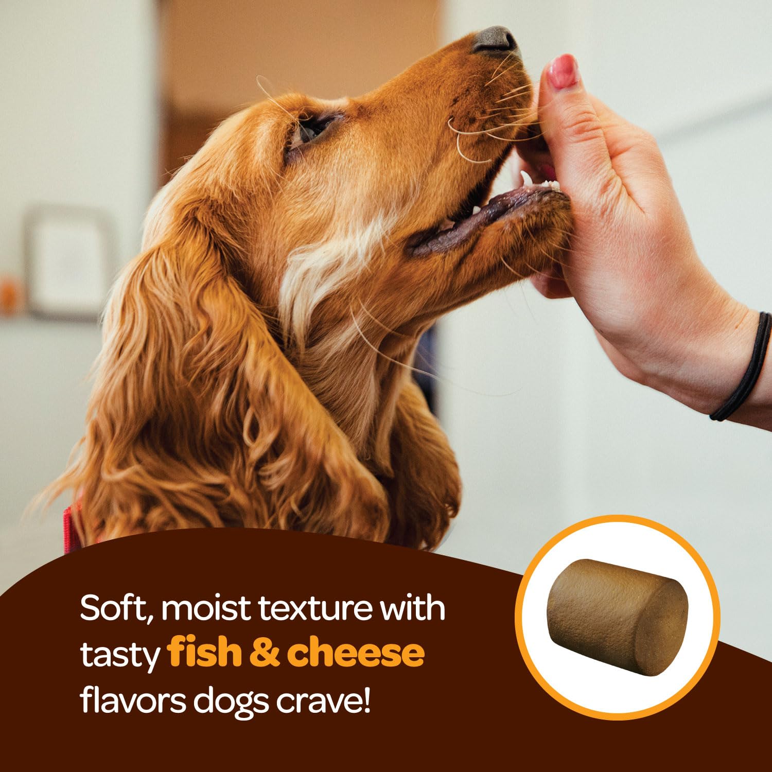Ready Pet Go soft chew texture close-up showing palatable treat for dogs