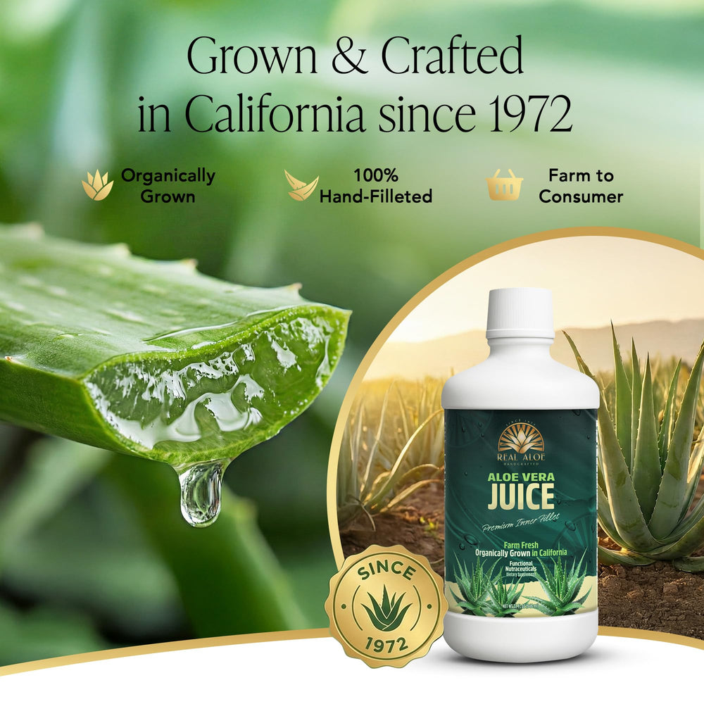 Real Aloe Jugo de Aloe Vera, gel interior visible, experiencia limpia y fresca.