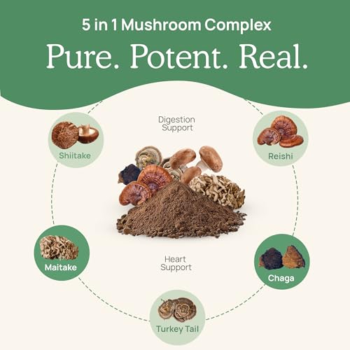 Real Mushrooms 5 Defenders facility testing image indicating third-party beta-glucan verification