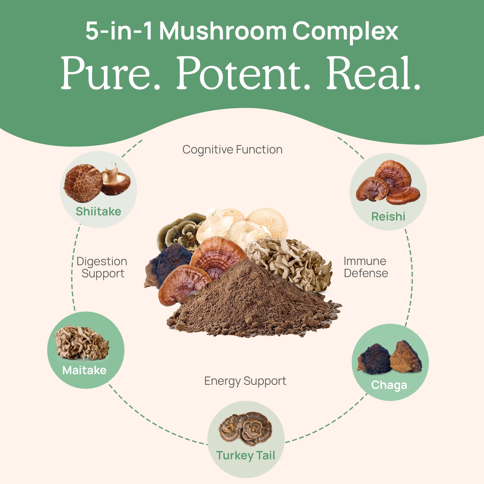 Real Mushrooms 5 Defenders ingredients list with five mushroom varieties