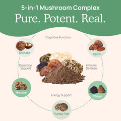 Real Mushrooms 5 Defenders ingredients list with five mushroom varieties