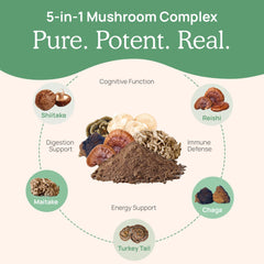 Real Mushrooms 5 Defenders ingredients list close-up emphasizing organic sourcing
