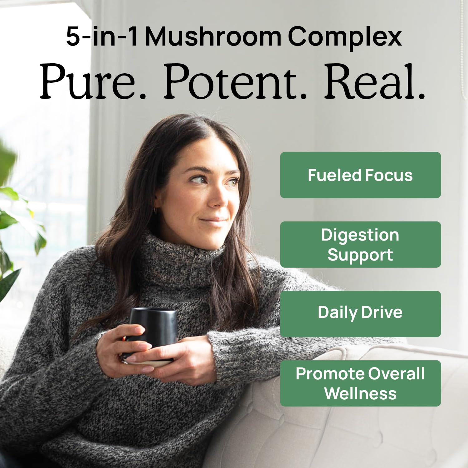 Real Mushrooms 5 Defenders organic mushroom extract seal and fruiting bodies