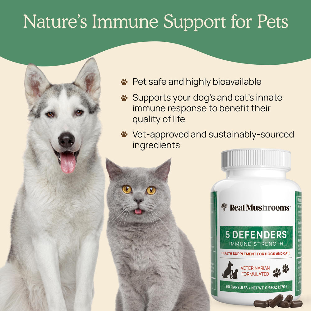 Real Mushrooms 5 Defenders maitake capsule for broad pet support.
