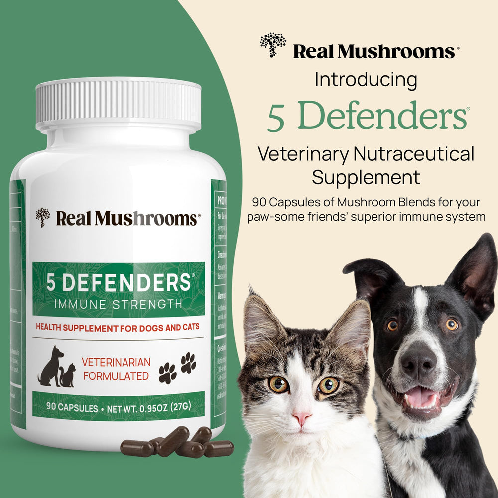 Real Mushrooms 5 Defenders capsules ready to mix with meals.