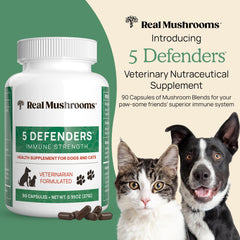 Real Mushrooms 5 Defenders capsules ready to mix with meals.