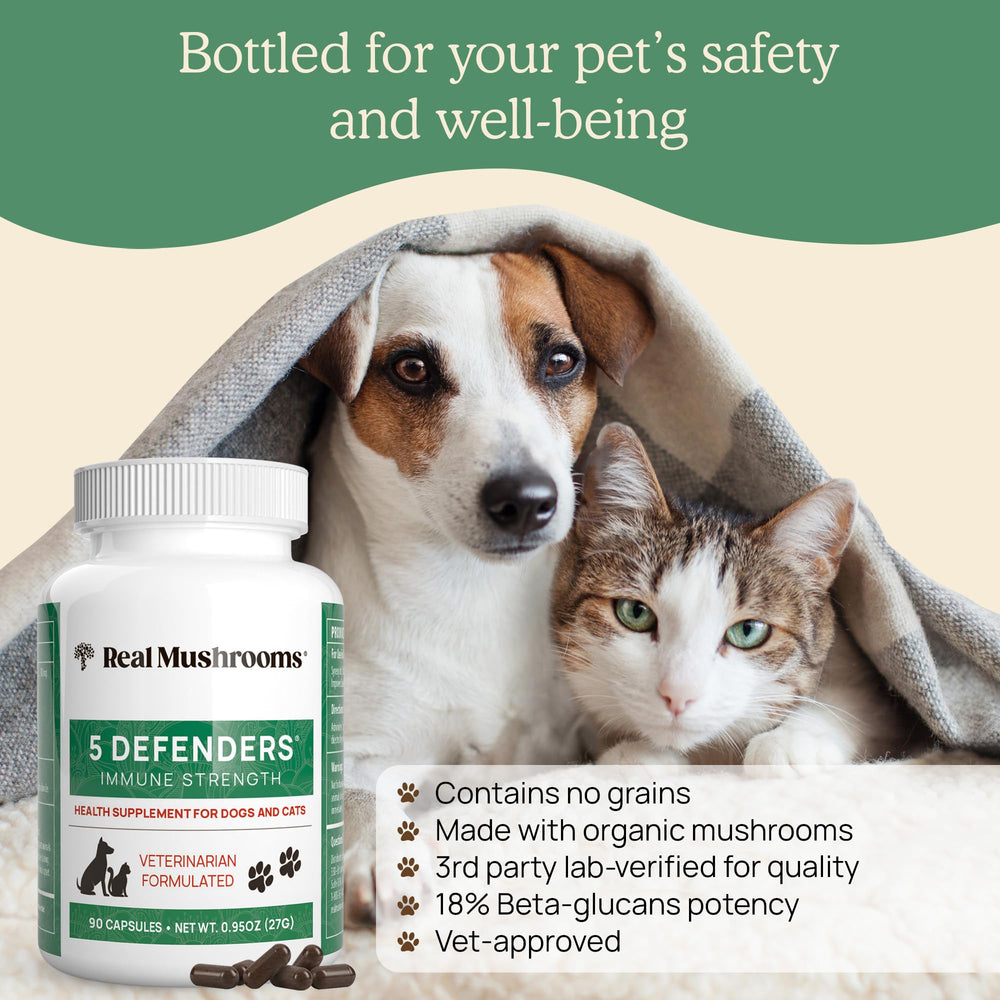Real Mushrooms 5 Defenders reishi capsule for daily pet routine.