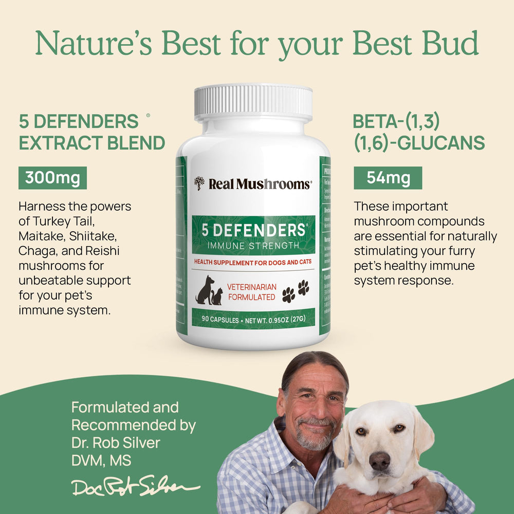 Real Mushrooms 5 Defenders turkey tail capsules support daily vitality.