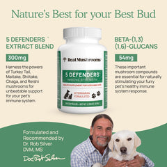 Real Mushrooms 5 Defenders turkey tail capsules support daily vitality.