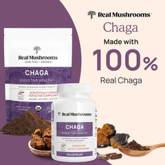 Real Mushrooms Chaga capsules poured into a coffee cup for easy daily ritual.