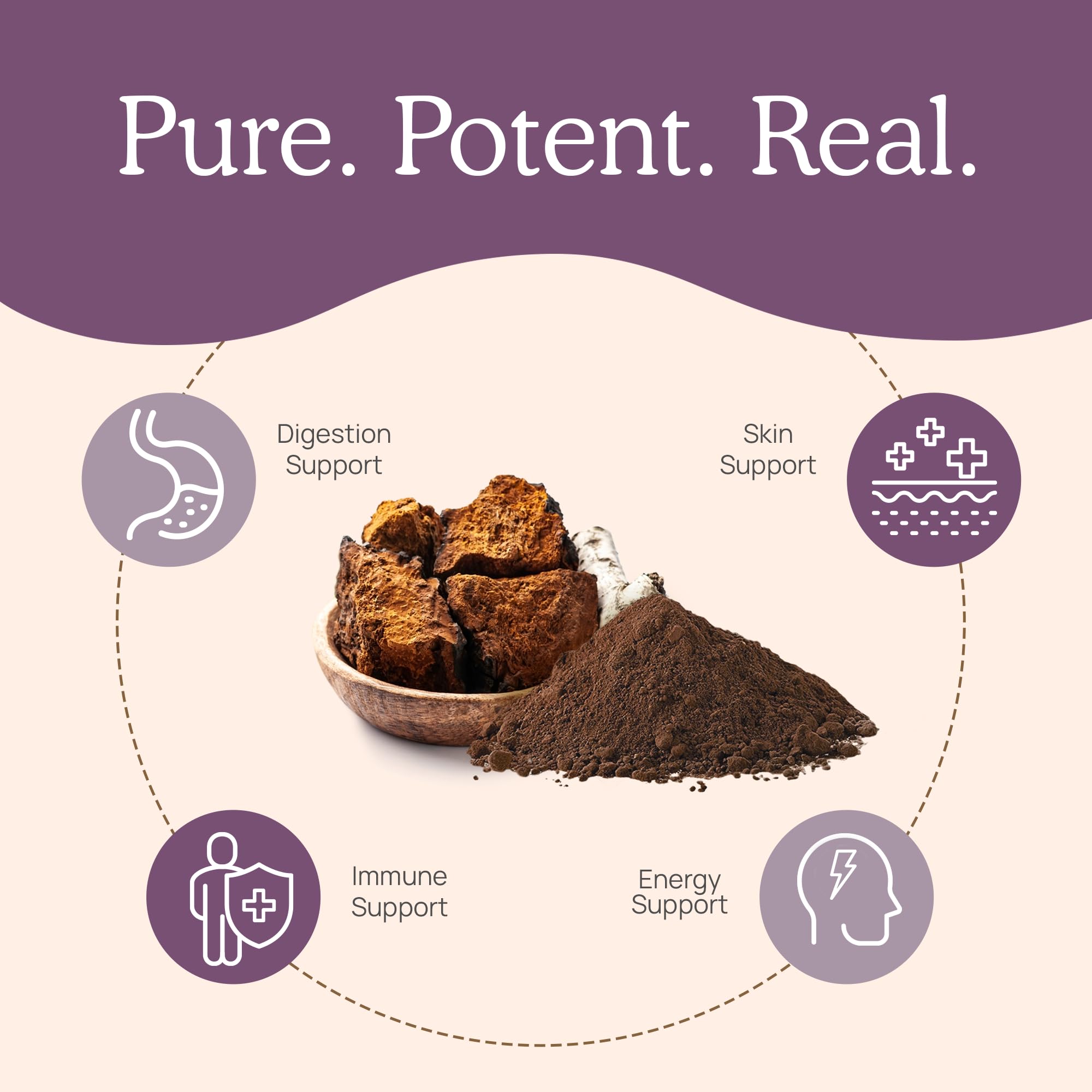 Real Mushrooms Chaga used in coffee or smoothie for daily ritual.