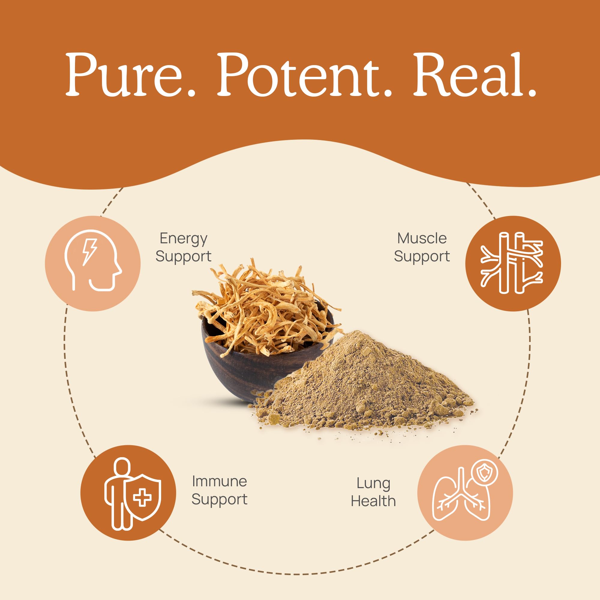 Real Mushrooms cordyceps capsules pour demonstrates easy mixing with meals