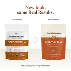 Real Mushrooms Cordyceps powder close-up reveals fine, clean texture for mixing