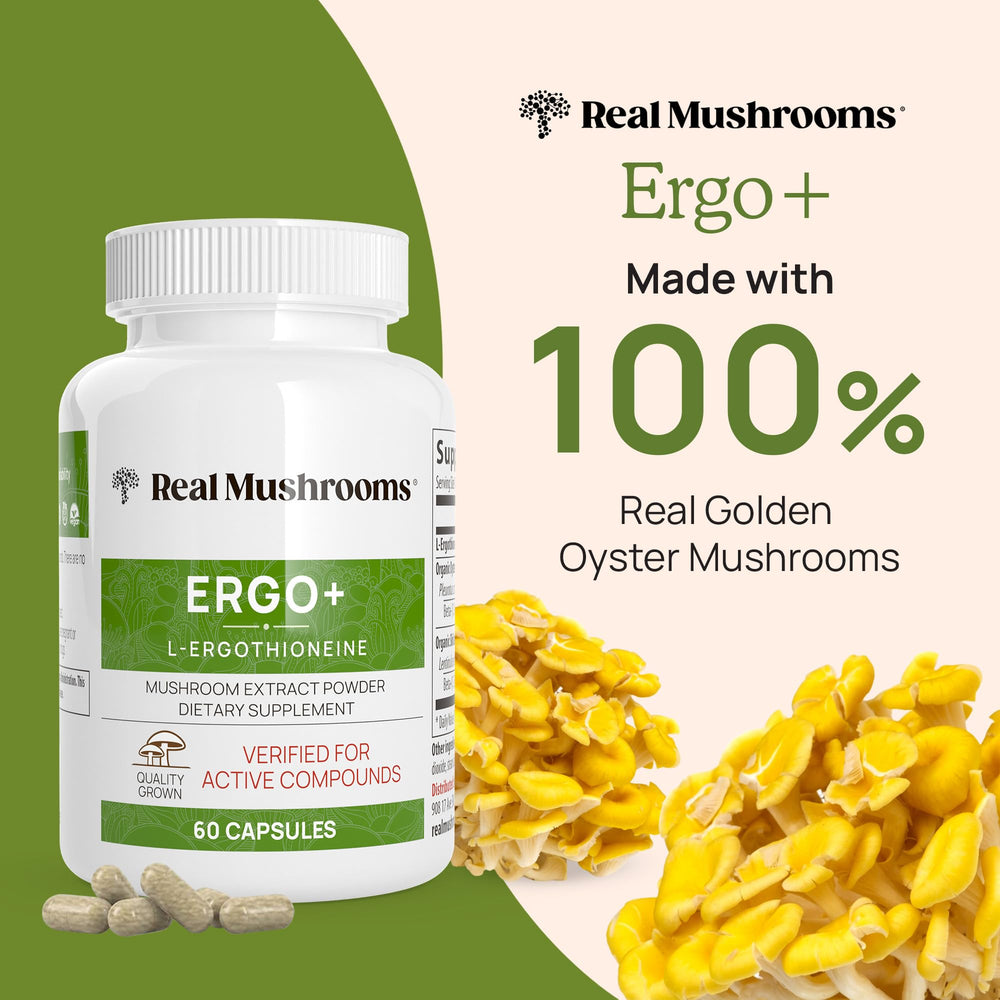Real Mushrooms Golden Oyster mushroom visual highlight for ergothioneine source