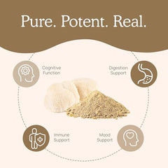 Lions Mane powder with scoop ready to mix into coffee or tea