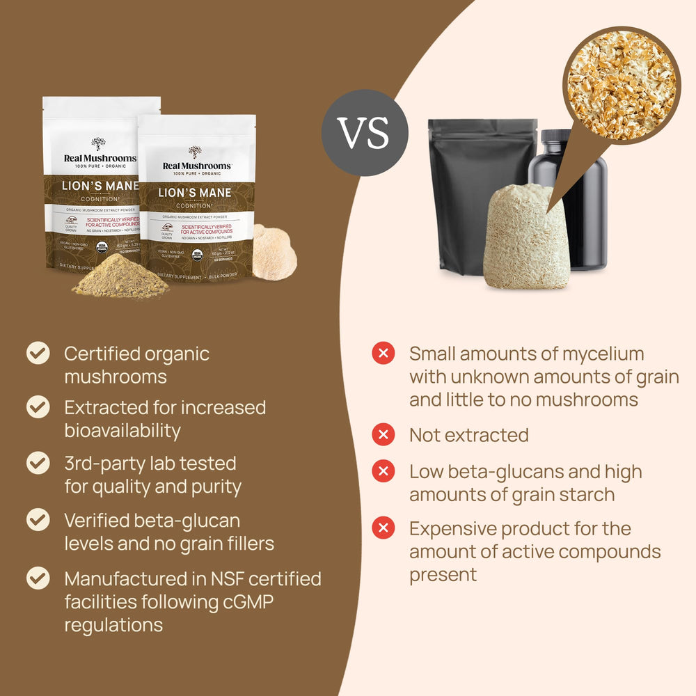 Real Mushrooms Lion's Mane pure powder in smoothie or coffee boost.