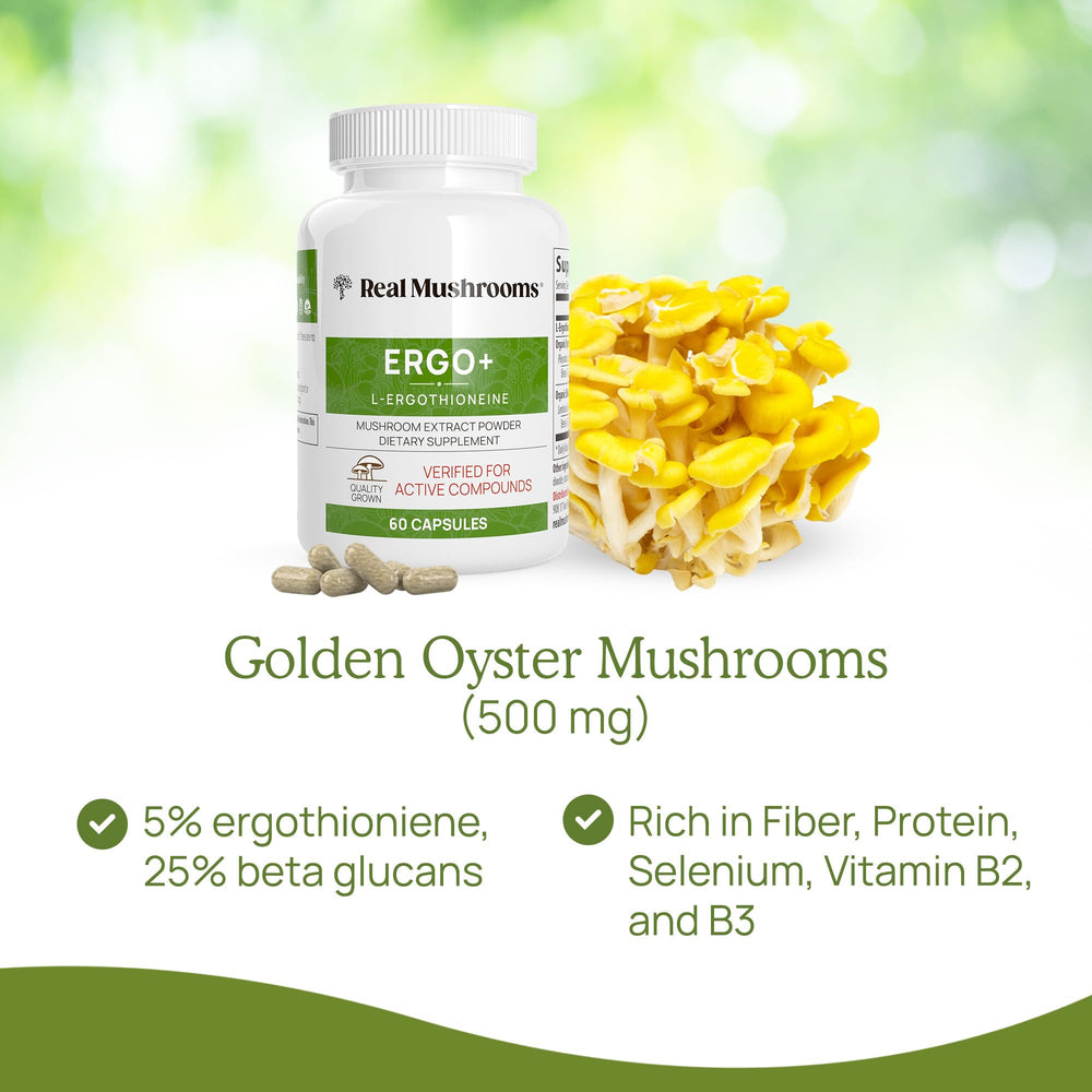 Real Mushrooms NSF-certified facility seal signifying quality control