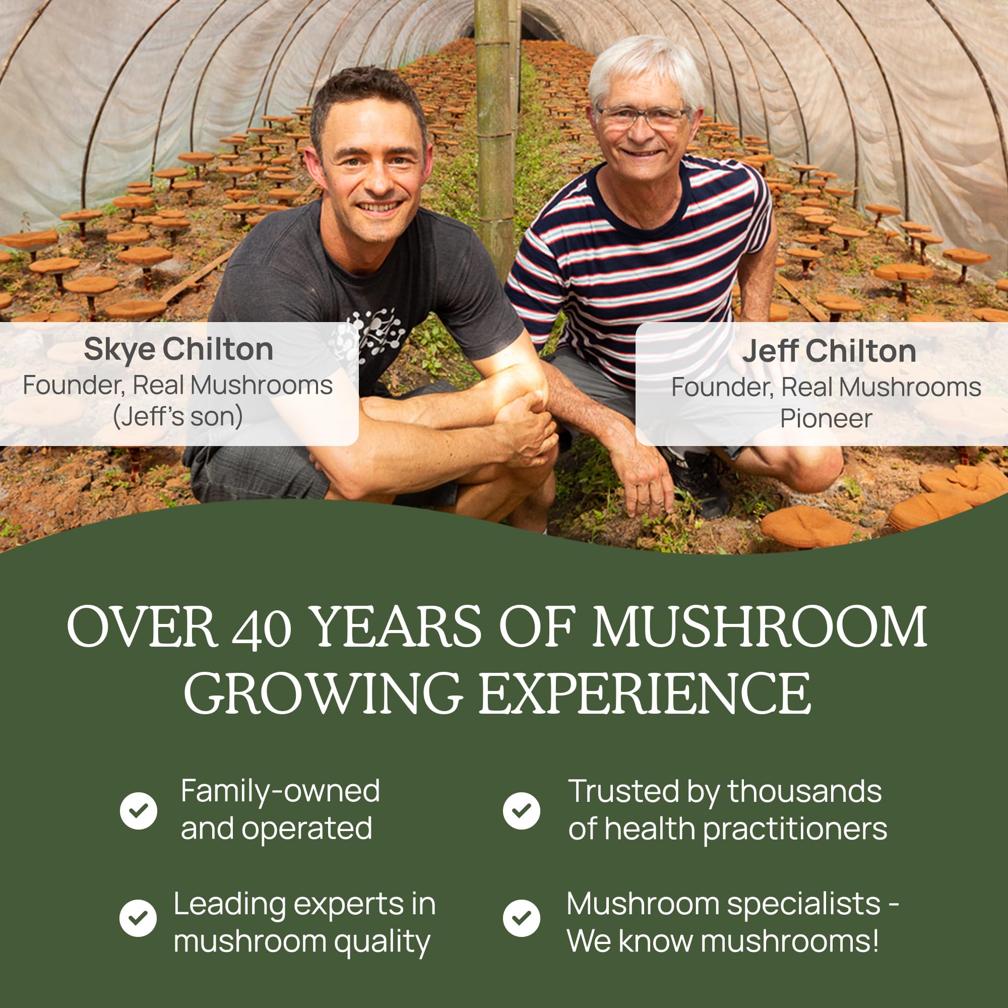 Real Mushrooms Organic mushroom extract bottle beside glass of water for daily routine